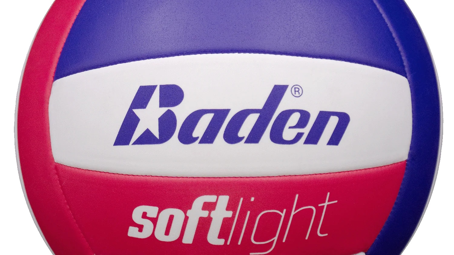 2026 D League volleyball team (Jesse Spencer)