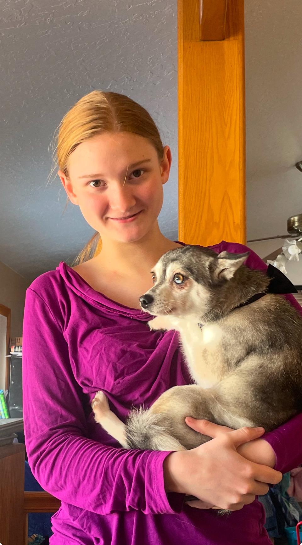 Clip Snip Bark Pet Grooming